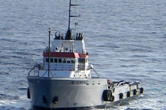 FMS Courage 1